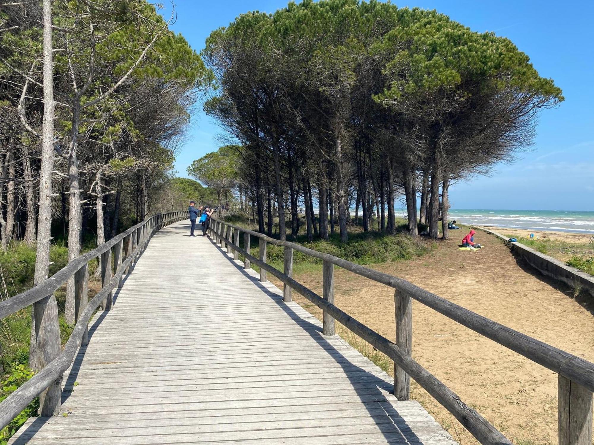 Seaside Serenity In Our 1 Bedroom Appartement Bibione